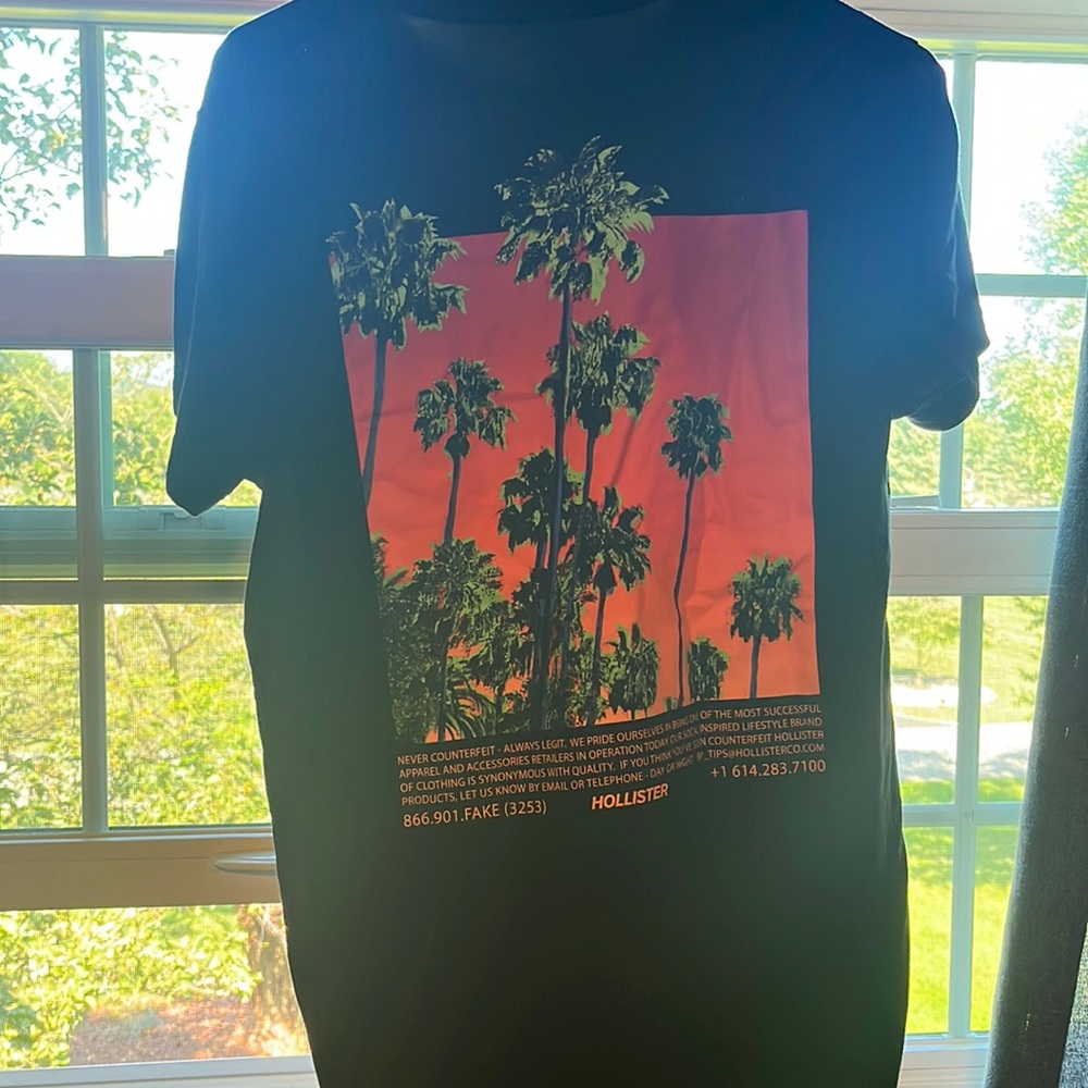 Hollister tee shirt. size small.